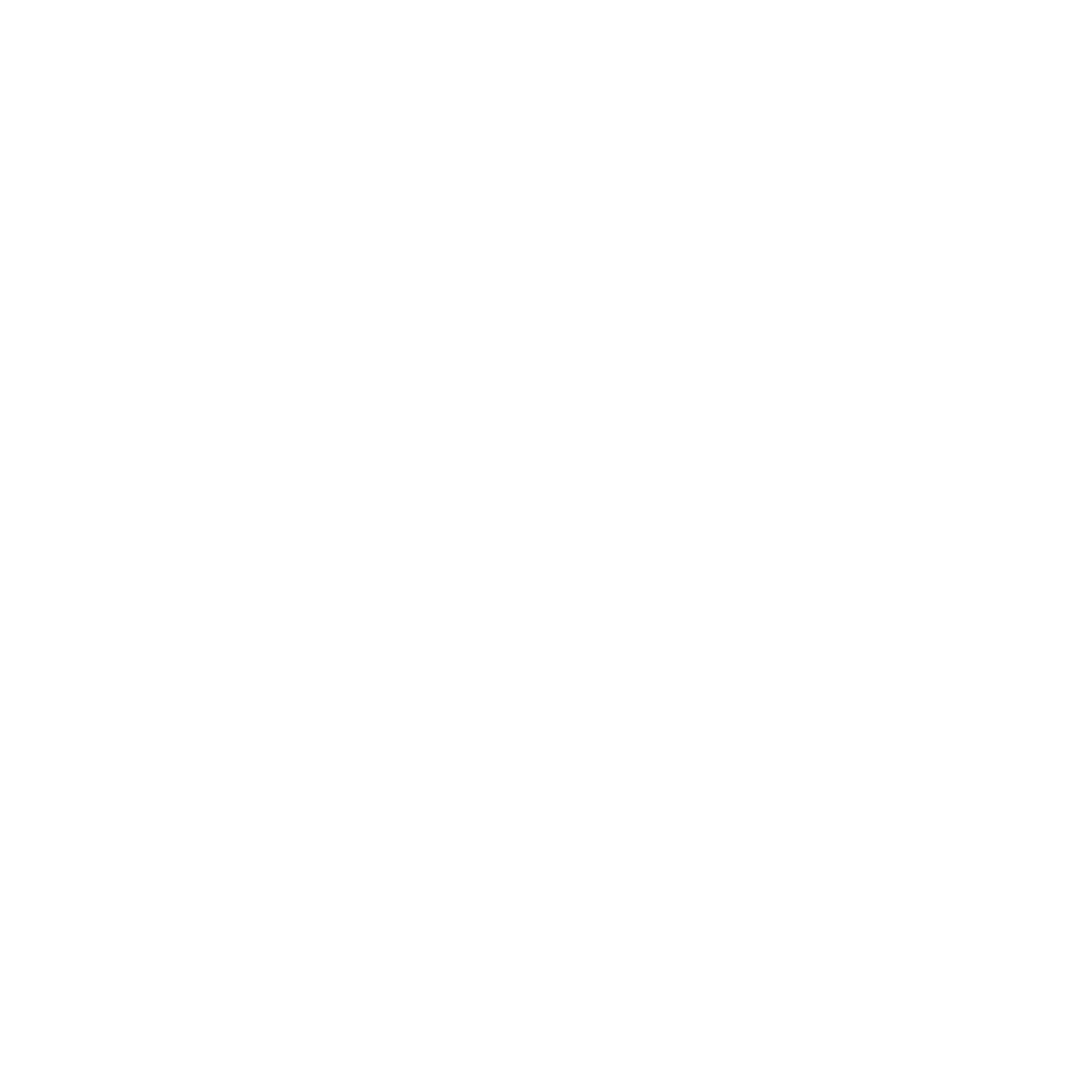 PINGUINO 2